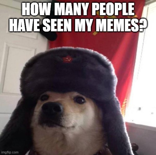 Russian Doge | HOW MANY PEOPLE HAVE SEEN MY MEMES? | image tagged in russian doge | made w/ Imgflip meme maker