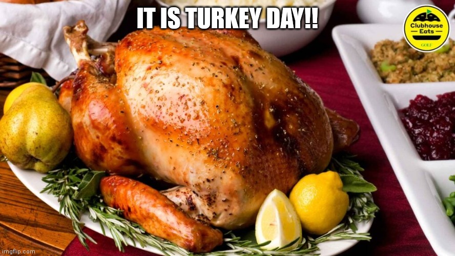 thanks giving | IT IS TURKEY DAY!! | image tagged in turkey,turkey day,thanksgiving,memes | made w/ Imgflip meme maker