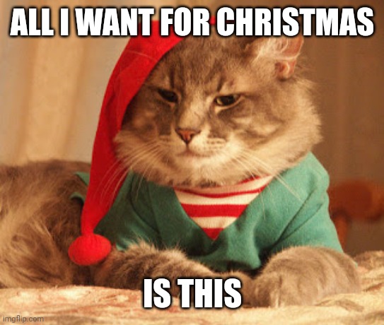 All I want for Christmas | ALL I WANT FOR CHRISTMAS IS THIS | image tagged in all i want for christmas | made w/ Imgflip meme maker