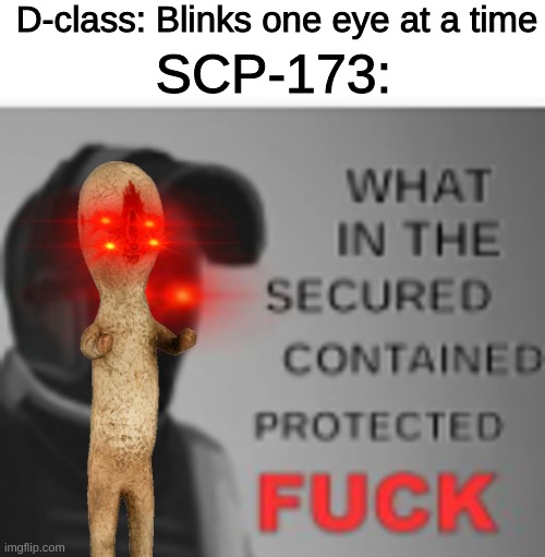 D-class: Blinks one eye at a time; SCP-173: | image tagged in scp 173 | made w/ Imgflip meme maker