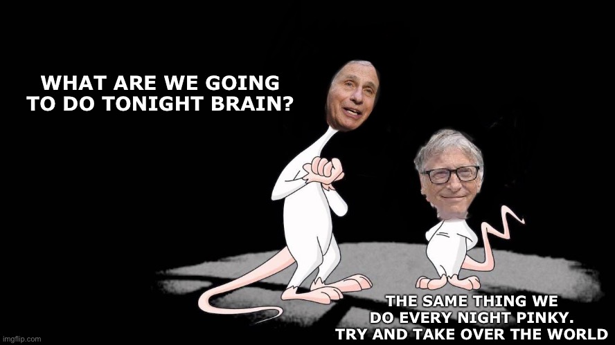 WHAT ARE WE GOING TO DO TONIGHT BRAIN? THE SAME THING WE DO EVERY NIGHT PINKY. TRY AND TAKE OVER THE WORLD | image tagged in memes,funny,bill gates loves vaccines,dr fauci,so true,pinky and the brain | made w/ Imgflip meme maker