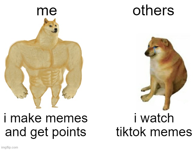 Buff Doge vs. Cheems | me; others; i make memes and get points; i watch tiktok memes | image tagged in memes,buff doge vs cheems | made w/ Imgflip meme maker