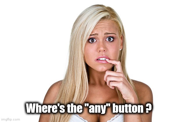 Dumb Blonde | Where's the "any" button ? | image tagged in dumb blonde | made w/ Imgflip meme maker