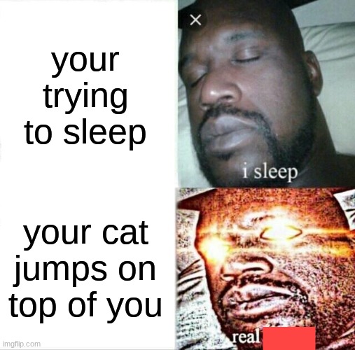 Sleeping Shaq | your trying to sleep; your cat jumps on top of you | image tagged in memes,sleeping shaq | made w/ Imgflip meme maker