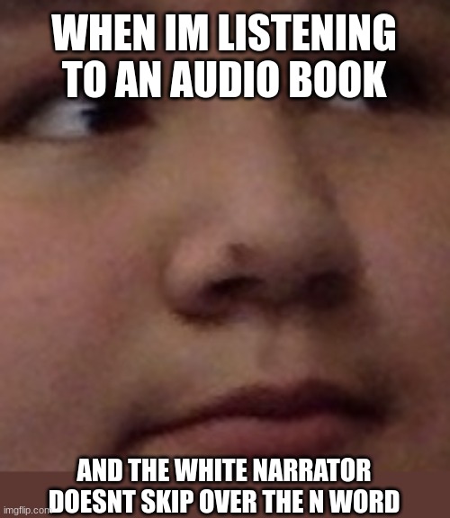 lol | WHEN IM LISTENING TO AN AUDIO BOOK; AND THE WHITE NARRATOR DOESNT SKIP OVER THE N WORD | image tagged in you say what,n word,book,listening,white guy | made w/ Imgflip meme maker