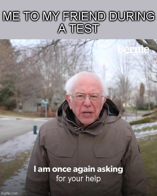 Bernie I Am Once Again Asking For Your Support Meme | ME TO MY FRIEND DURING
A TEST; for your help | image tagged in memes,bernie i am once again asking for your support | made w/ Imgflip meme maker