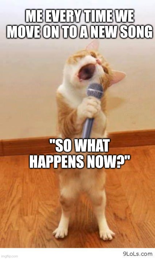 Cat Singer |  ME EVERY TIME WE MOVE ON TO A NEW SONG; "SO WHAT HAPPENS NOW?" | image tagged in cat singer | made w/ Imgflip meme maker