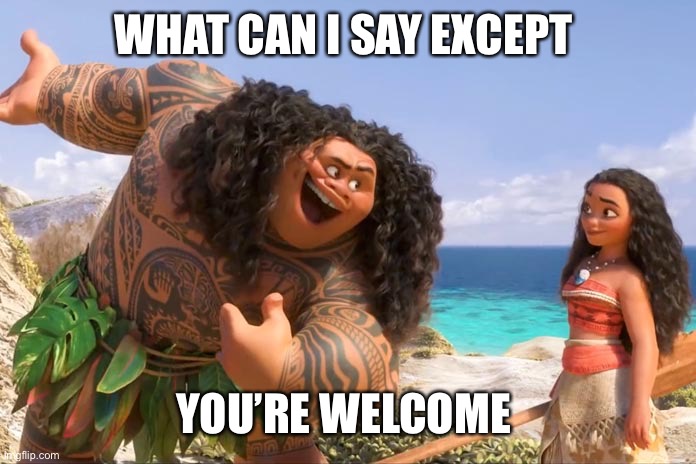 Moana Maui You're Welcome | WHAT CAN I SAY EXCEPT YOU’RE WELCOME | image tagged in moana maui you're welcome | made w/ Imgflip meme maker