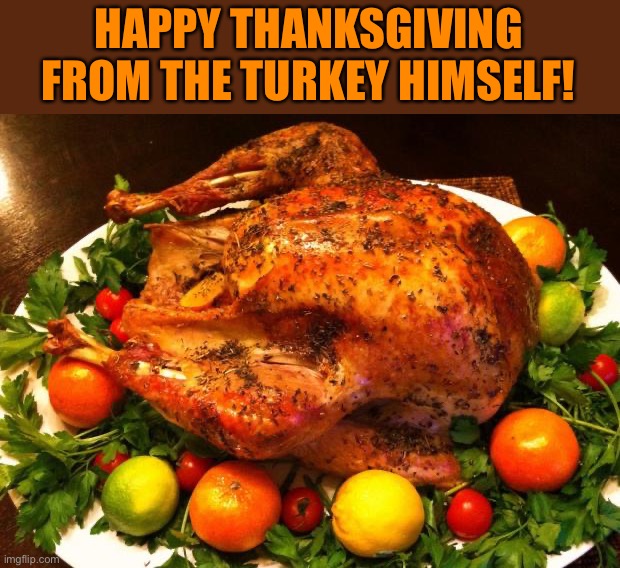 Happy Thanksgiving everyone! Hope you have a great one! | HAPPY THANKSGIVING FROM THE TURKEY HIMSELF! | image tagged in roasted turkey,memes,funny,turkey,thanksgiving,lmao | made w/ Imgflip meme maker
