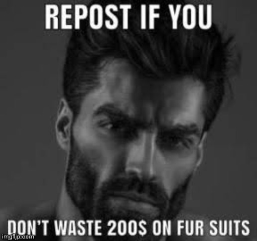 You're an idiot if you waste your money only for fur suits | made w/ Imgflip meme maker