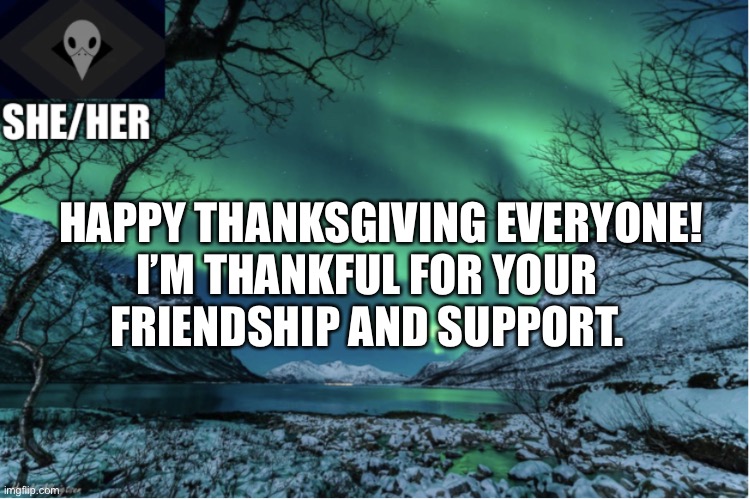 Happy thanksgiving! | HAPPY THANKSGIVING EVERYONE! I’M THANKFUL FOR YOUR FRIENDSHIP AND SUPPORT. | image tagged in northern lights termcollector template | made w/ Imgflip meme maker