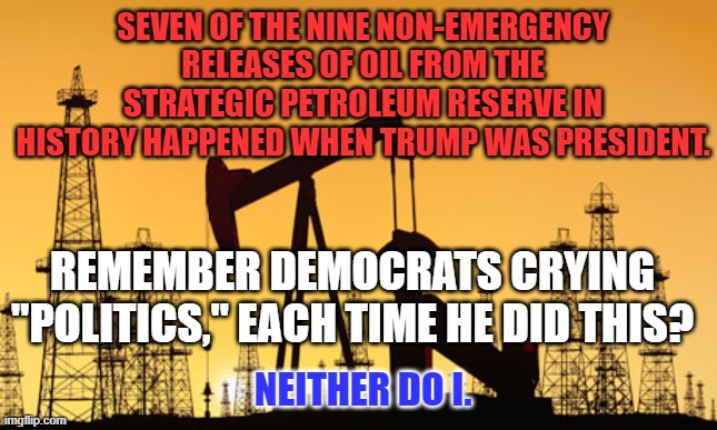 Sometimes, they are just doing their jobs. | SEVEN OF THE NINE NON-EMERGENCY RELEASES OF OIL FROM THE STRATEGIC PETROLEUM RESERVE IN HISTORY HAPPENED WHEN TRUMP WAS PRESIDENT. REMEMBER DEMOCRATS CRYING "POLITICS," EACH TIME HE DID THIS? NEITHER DO I. | image tagged in politics | made w/ Imgflip meme maker