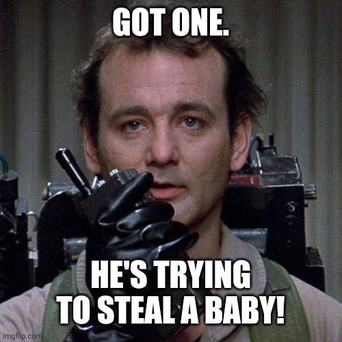 Ghostbusters  | GOT ONE. HE'S TRYING TO STEAL A BABY! | image tagged in ghostbusters | made w/ Imgflip meme maker