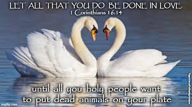 Religious Hypocrisy |  LET  ALL  THAT  YOU  DO   BE  DONE  IN  LOVE.
1 Corinthians 16:14; VeganMemesForSharing/minkpen; until  all  you  holy  people  want  to  put  dead  animals  on  your  plate | image tagged in vegan,religion,love,god,jesus,cruelty | made w/ Imgflip meme maker
