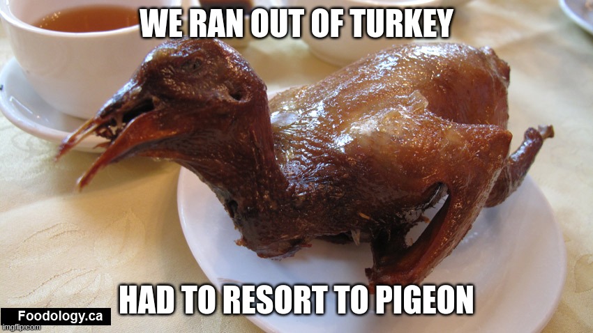 WE RAN OUT OF TURKEY HAD TO RESORT TO PIGEON | made w/ Imgflip meme maker