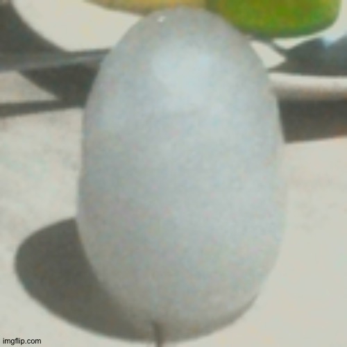 ice egg | image tagged in ice egg | made w/ Imgflip meme maker