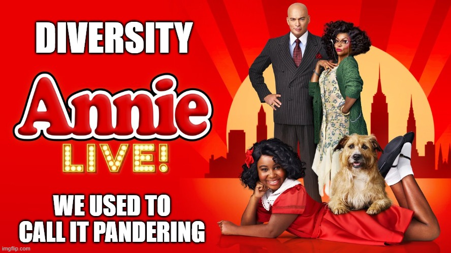 Oh, for the love of.... | DIVERSITY; WE USED TO CALL IT PANDERING | image tagged in diversity,black annie,memes | made w/ Imgflip meme maker