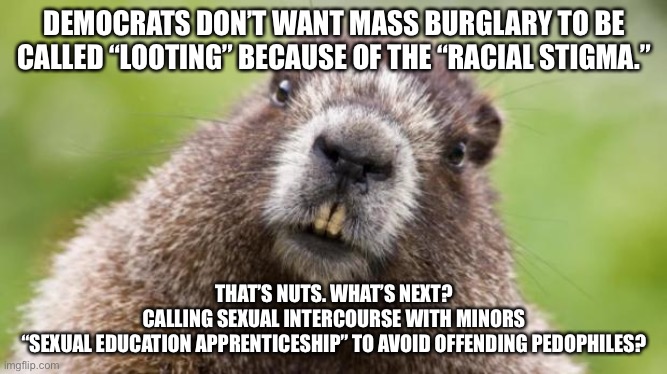 Democrat word games |  DEMOCRATS DON’T WANT MASS BURGLARY TO BE CALLED “LOOTING” BECAUSE OF THE “RACIAL STIGMA.”; THAT’S NUTS. WHAT’S NEXT?
CALLING SEXUAL INTERCOURSE WITH MINORS
“SEXUAL EDUCATION APPRENTICESHIP” TO AVOID OFFENDING PEDOPHILES? | image tagged in mr beaver,memes,sexual assault,pedophile,racist,looting | made w/ Imgflip meme maker