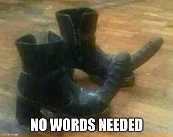in case you needed words these are ass kicking boots | NO WORDS NEEDED | image tagged in ass kicking,memes | made w/ Imgflip meme maker