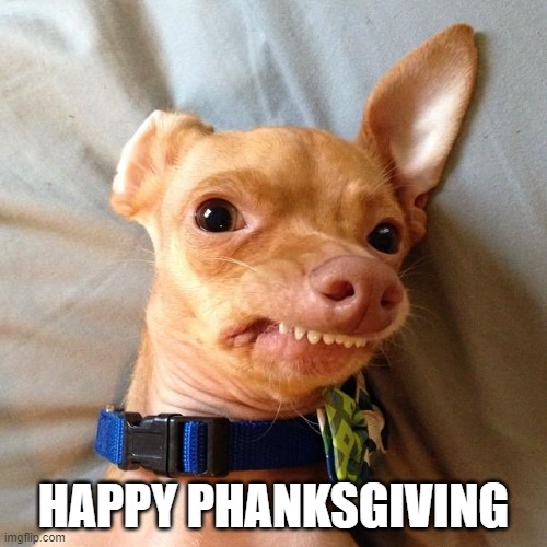 Phanksgiving |  HAPPY PHANKSGIVING | image tagged in memes,funny memes,thanksgiving,phteven dog,tuna the dog phteven,funny dogs | made w/ Imgflip meme maker