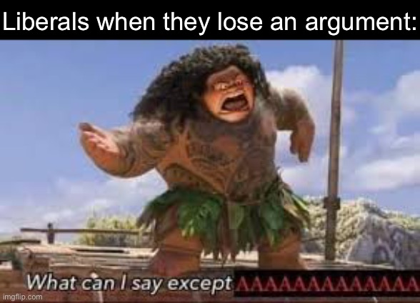 What can i say except aaaaaaaaaaa | Liberals when they lose an argument: | image tagged in what can i say except aaaaaaaaaaa,oh wow are you actually reading these tags,libtards,stupid people | made w/ Imgflip meme maker