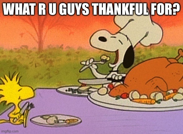 Charlie Brown thanksgiving  | WHAT R U GUYS THANKFUL FOR? | image tagged in charlie brown thanksgiving | made w/ Imgflip meme maker