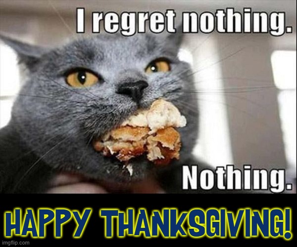 Food  Food and More Food! | HAPPY THANKSGIVING! | image tagged in vince vance,cats,memes,overeating,happy thanksgiving,no regrets | made w/ Imgflip meme maker