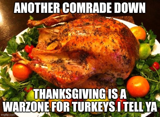 Roasted turkey | ANOTHER COMRADE DOWN; THANKSGIVING IS A WARZONE FOR TURKEYS I TELL YA | image tagged in roasted turkey,thanksgiving,memes | made w/ Imgflip meme maker