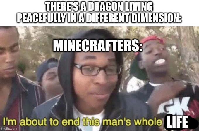 Minecraft meme | THERE'S A DRAGON LIVING PEACEFULLY IN A DIFFERENT DIMENSION:; MINECRAFTERS:; LIFE | image tagged in i m about to end this man s whole career | made w/ Imgflip meme maker