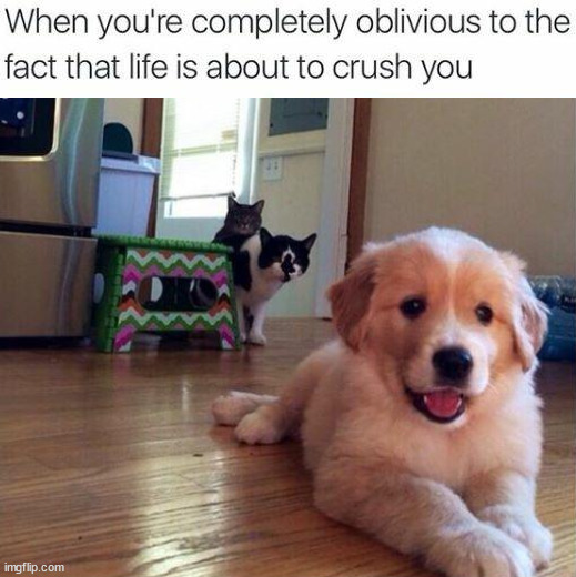 image tagged in depression | made w/ Imgflip meme maker