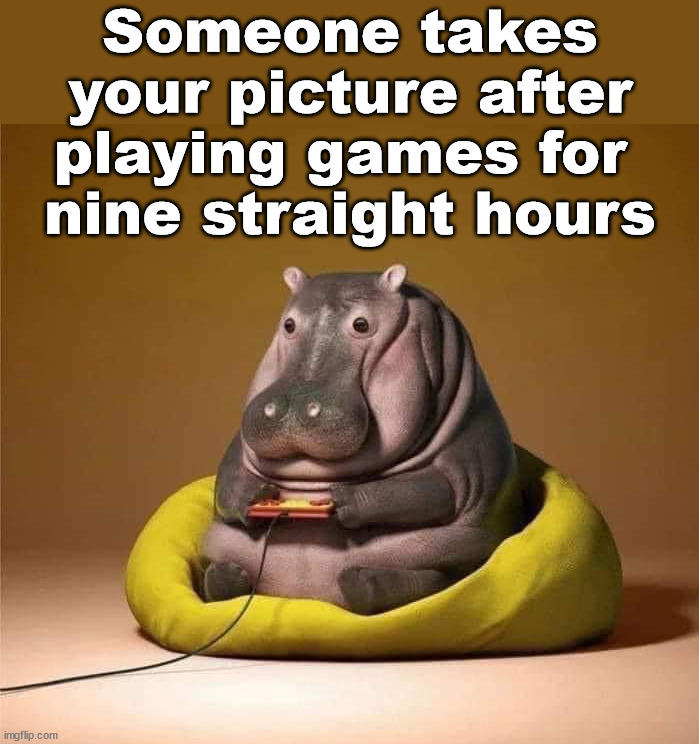 Being a potato during Thanksgiving | Someone takes your picture after playing games for 
nine straight hours | image tagged in gaming | made w/ Imgflip meme maker