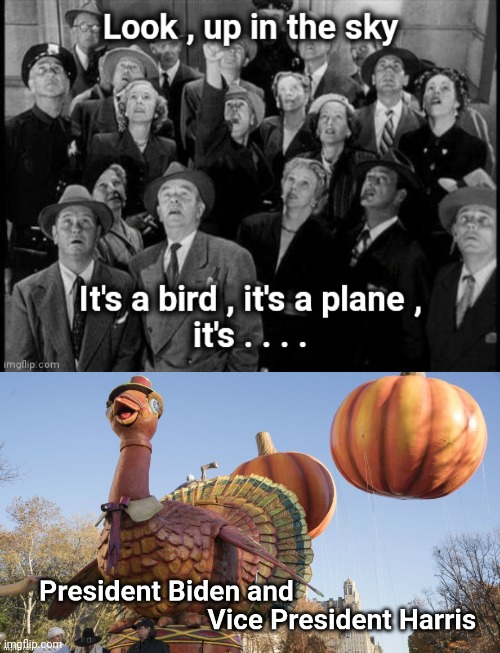 The Turkey Day Parade | image tagged in politicians suck,turkeys,pie,wow look nothing,helpful,well yes but actually no | made w/ Imgflip meme maker