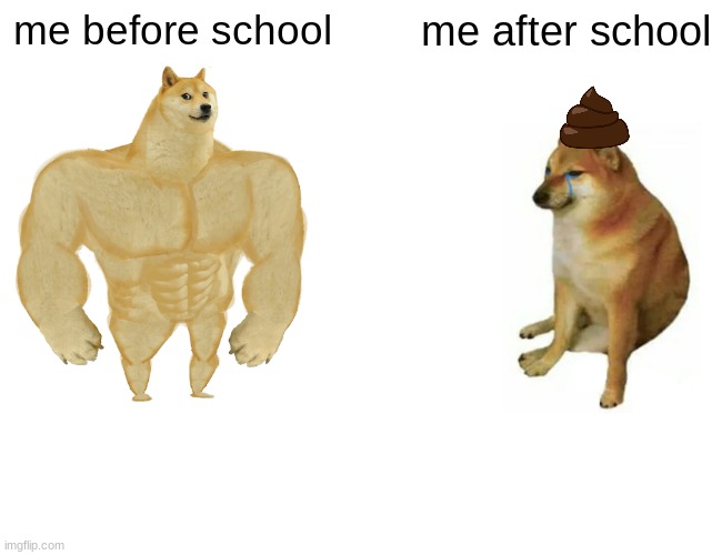 Buff Doge vs. Cheems | me before school; me after school | image tagged in memes,buff doge vs cheems | made w/ Imgflip meme maker