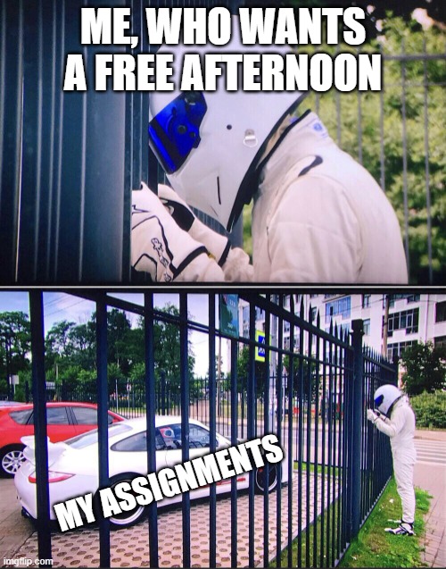 Day 1 of not having a good title | ME, WHO WANTS A FREE AFTERNOON; MY ASSIGNMENTS | image tagged in stig | made w/ Imgflip meme maker