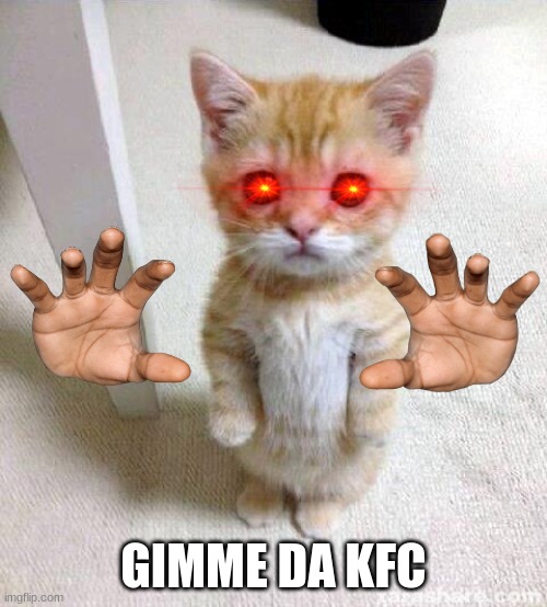 Cute Cat Meme | GIMME DA KFC | image tagged in memes,cute cat | made w/ Imgflip meme maker