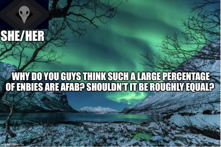Northern Lights Termcollector Template | WHY DO YOU GUYS THINK SUCH A LARGE PERCENTAGE OF ENBIES ARE AFAB? SHOULDN’T IT BE ROUGHLY EQUAL? | image tagged in northern lights termcollector template | made w/ Imgflip meme maker