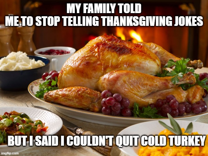 thanksgiving | MY FAMILY TOLD ME TO STOP TELLING THANKSGIVING JOKES; BUT I SAID I COULDN'T QUIT COLD TURKEY | image tagged in funny,thanksgiving | made w/ Imgflip meme maker