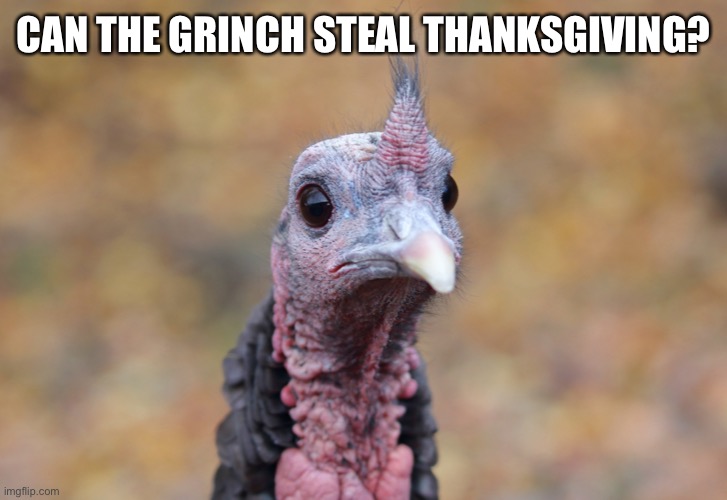 Sad Turkey | CAN THE GRINCH STEAL THANKSGIVING? | image tagged in sad turkey | made w/ Imgflip meme maker