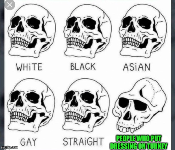 This Thanksgiving, I’m thankful that my family isn’t this disgusting | PEOPLE WHO PUT DRESSING ON TURKEY | image tagged in white black asian gay straight skull template,oh wow are you actually reading these tags | made w/ Imgflip meme maker