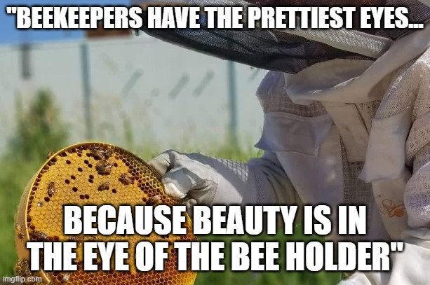 "BEEKEEPERS HAVE THE PRETTIEST EYES... BECAUSE BEAUTY IS IN THE EYE OF THE BEE HOLDER" | made w/ Imgflip meme maker