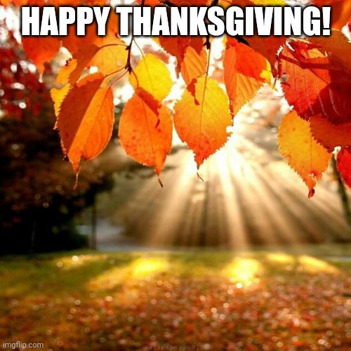 :D | HAPPY THANKSGIVING! | image tagged in fall leaves,back from taking a mental break | made w/ Imgflip meme maker