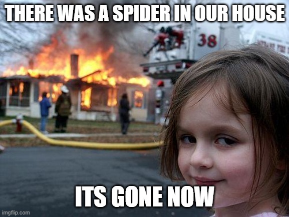 It do be gone now | THERE WAS A SPIDER IN OUR HOUSE; ITS GONE NOW | image tagged in memes,disaster girl | made w/ Imgflip meme maker