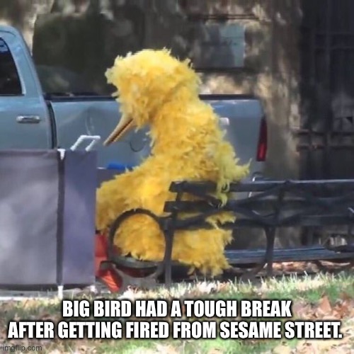 ?❌ | BIG BIRD HAD A TOUGH BREAK AFTER GETTING FIRED FROM SESAME STREET. | image tagged in sesame street,big bird,woah that's interesting but i sure dont care | made w/ Imgflip meme maker