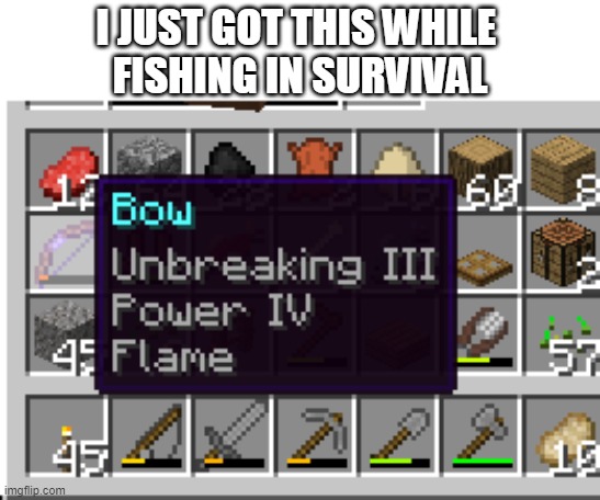 how amazing | I JUST GOT THIS WHILE 
FISHING IN SURVIVAL | image tagged in minecraft,wow | made w/ Imgflip meme maker