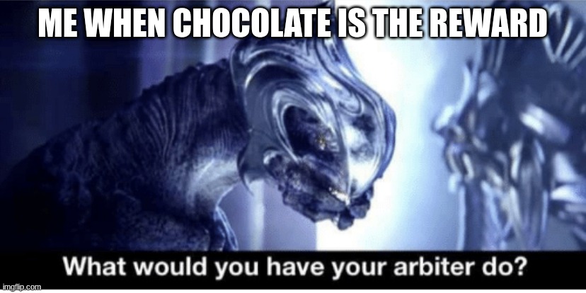 What would you have your arbiter do? | ME WHEN CHOCOLATE IS THE REWARD | image tagged in what would you have your arbiter do | made w/ Imgflip meme maker