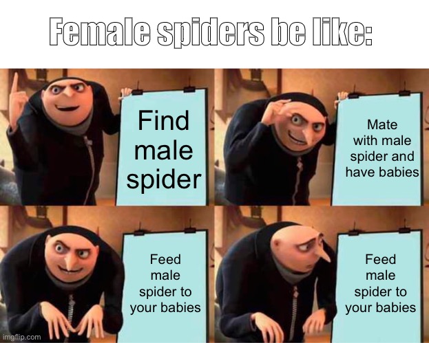 This is actually what spiders do | Female spiders be like:; Find male spider; Mate with male spider and have babies; Feed male spider to your babies; Feed male spider to your babies | image tagged in memes,gru's plan,spiderman | made w/ Imgflip meme maker