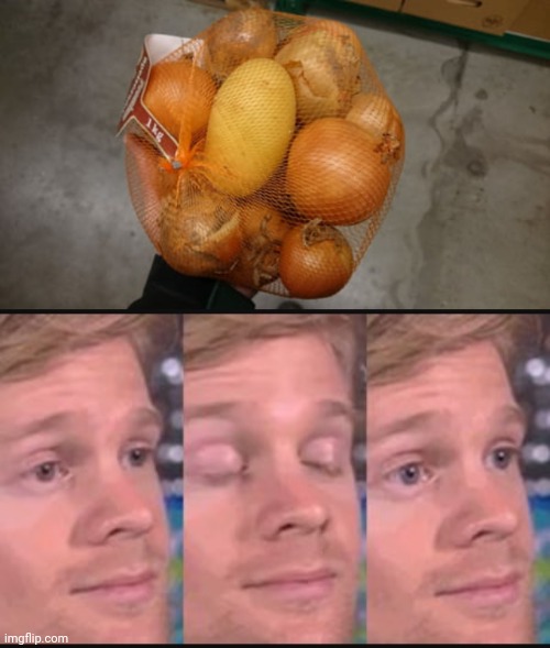 Onions | image tagged in blinking guy,onions,onion,you had one job,memes,meme | made w/ Imgflip meme maker