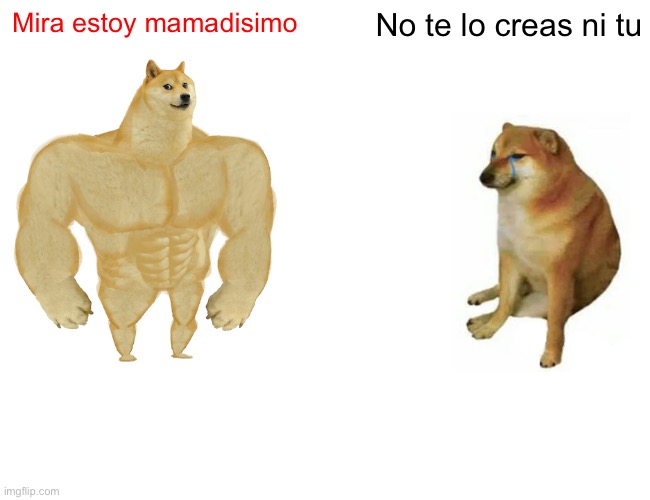 Buff Doge vs. Cheems Meme | Mira estoy mamadisimo; No te lo creas ni tu | image tagged in memes,buff doge vs cheems | made w/ Imgflip meme maker