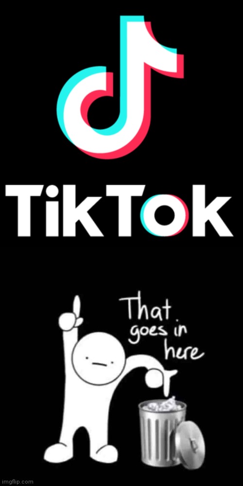 image tagged in tiktok logo,that goes in here | made w/ Imgflip meme maker