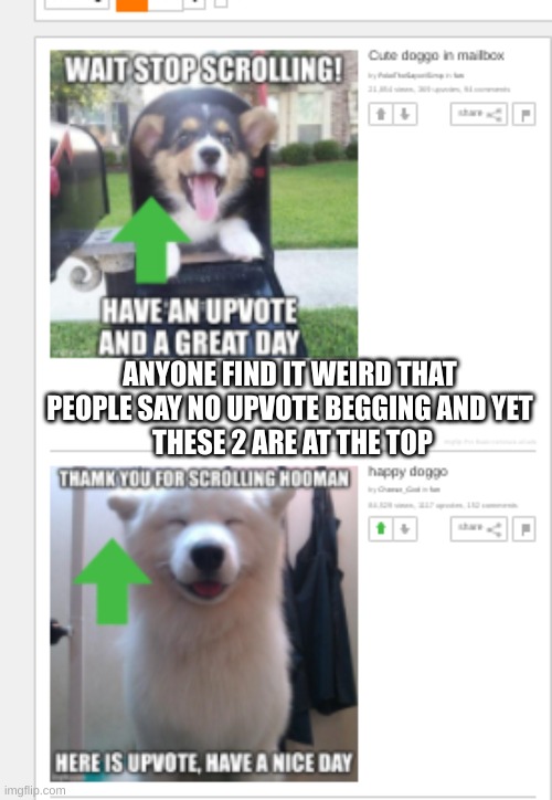 these dogs are funny but wierd | ANYONE FIND IT WEIRD THAT PEOPLE SAY NO UPVOTE BEGGING AND YET
 THESE 2 ARE AT THE TOP | image tagged in dogs,upvote button,change my mind,one does not simply | made w/ Imgflip meme maker